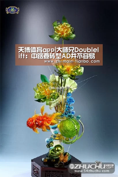 天博体育app|大师兄Doublelift:中路要转型AD并不容易(图1) 天博体育