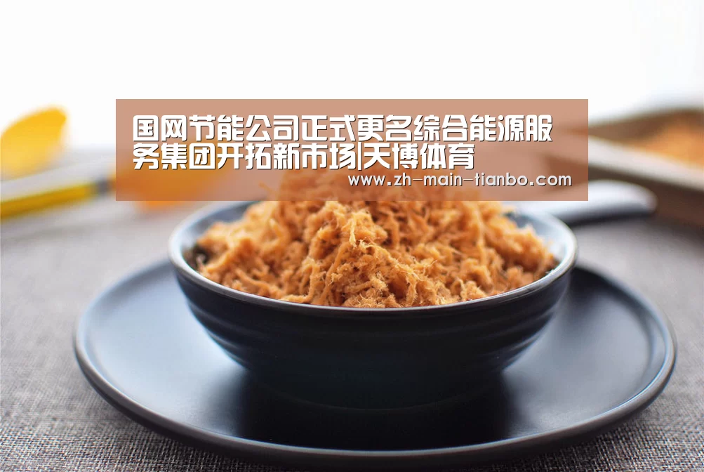 国网节能公司正式更名综合能源服务集团开拓新市场|天博体育(图3) 天博体育入口