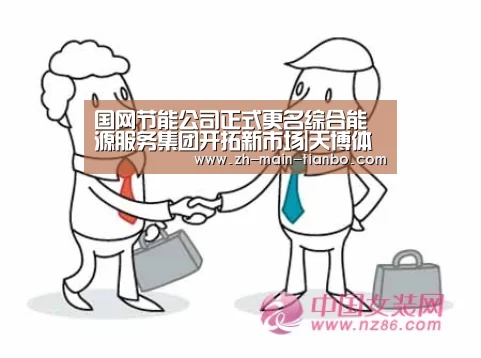 国网节能公司正式更名综合能源服务集团开拓新市场|天博体育(图2) 天博体育