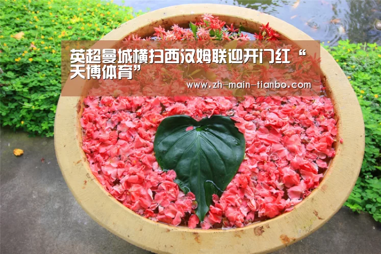 天博体育app下载