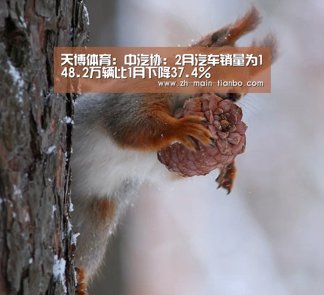 天博体育:中汽协:2月汽车销量为148.2万辆比1月下降37.4%(图1) 天博体育