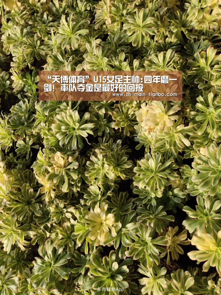 天博体育入口