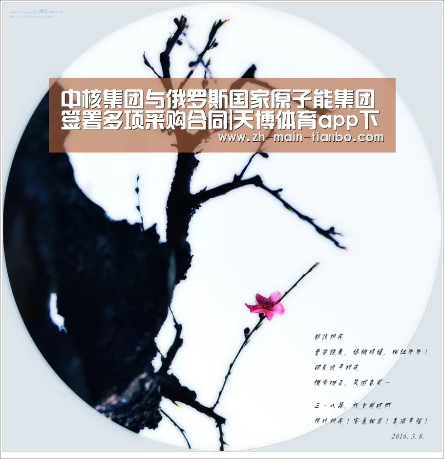 中核集团与俄罗斯国家原子能集团签署多项采购合同|天博体育app下载(图1) 天博体育入口