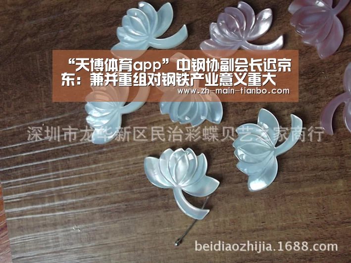 “天博体育app”中钢协副会长迟京东:兼并重组对钢铁产业意义重大(图1) 天博体育app