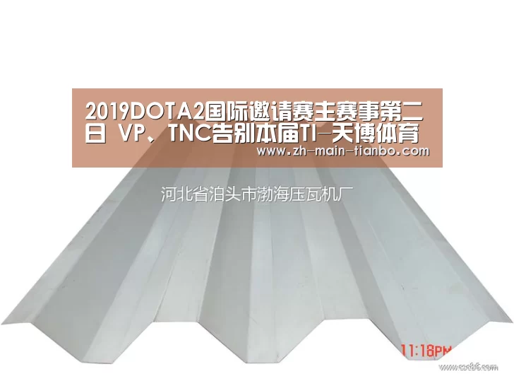 2019DOTA2国际邀请赛主赛事第二日 VP、TNC告别本届TI-天博体育app下载(图1) 天博体育