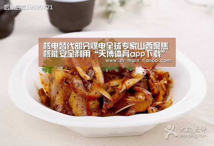 核电替代部分煤电全球专家山西聚焦核能安全利用“天博体育app下载”(图2) 天博体育app