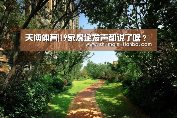 天博体育|19家煤企发声都说了啥?(图3) 天博体育