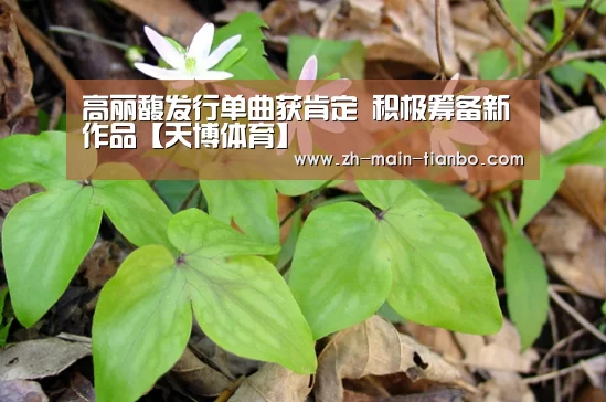高丽馥发行单曲获肯定 积极筹备新作品【天博体育】(图1) 天博体育app下载