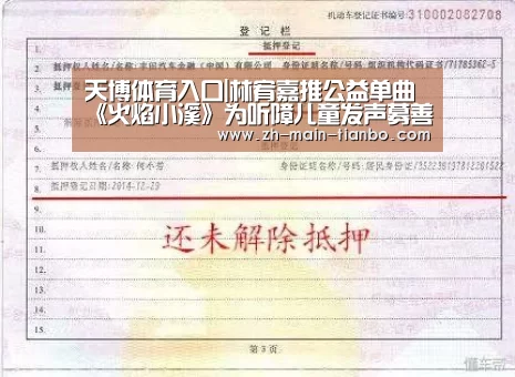 天博体育入口|林宥嘉推公益单曲《火焰小溪》为听障儿童发声募善